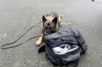 DROGA-PAS-3.9. DROGA-PAS-3.9.