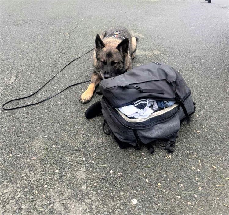 DROGA-PAS-3.9. DROGA-PAS-3.9.