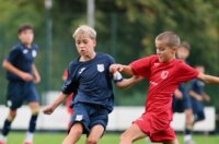 DSC_4116-1024×936 (1)