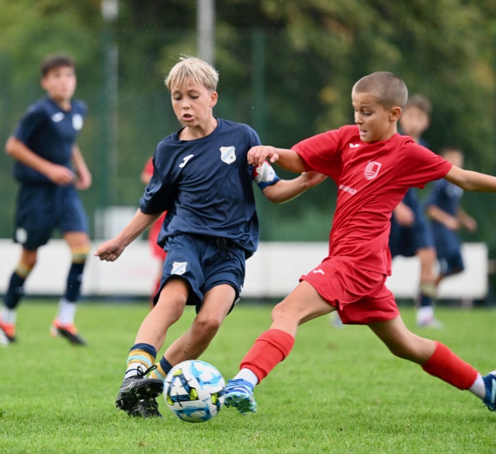 DSC_4116-1024×936 (1)