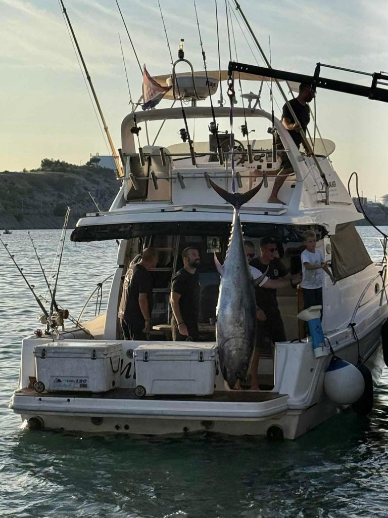 IMG-20250922-WA0003-768×1024