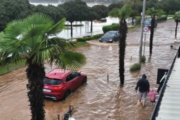 LS-c882fe84-c5f1-4355-bb8c-a9cfc406054b-360