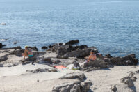 Plaža Kantrida -0045