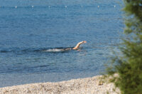 Plaža Kantrida -0073