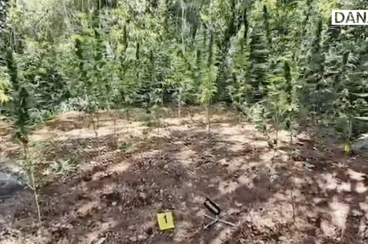 Screenshot 2025-09-15 at 13.54.20