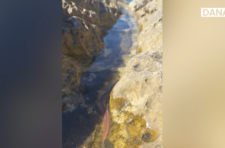 Screenshot 2025-09-16 at 12.55.08