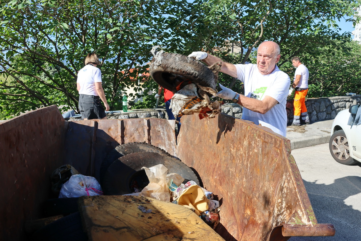 Zelena-cistka-2025-4