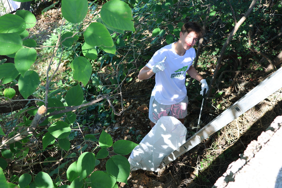 Zelena-cistka-2025-5