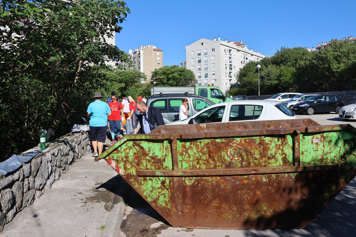 Zelena-cistka-2025-8