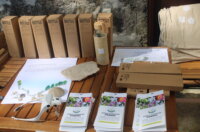 eko akcija na lisini (1)