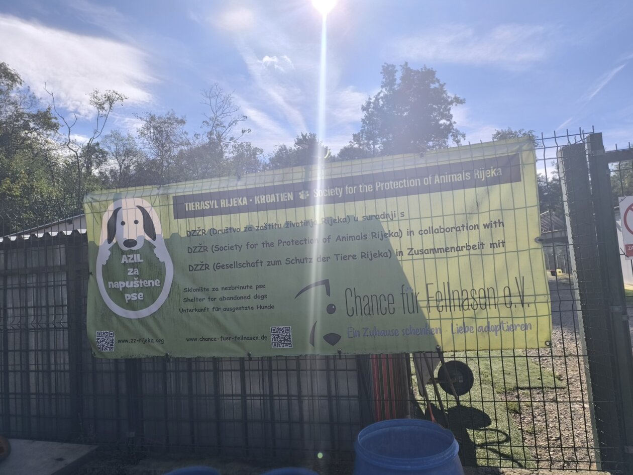 viber_slika_2025-09-26_10-55-36-532 viber_slika_2025-09-26_10-55-36-532