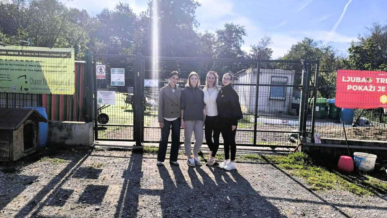 viber_slika_2025-09-26_10-55-37-506 viber_slika_2025-09-26_10-55-37-506