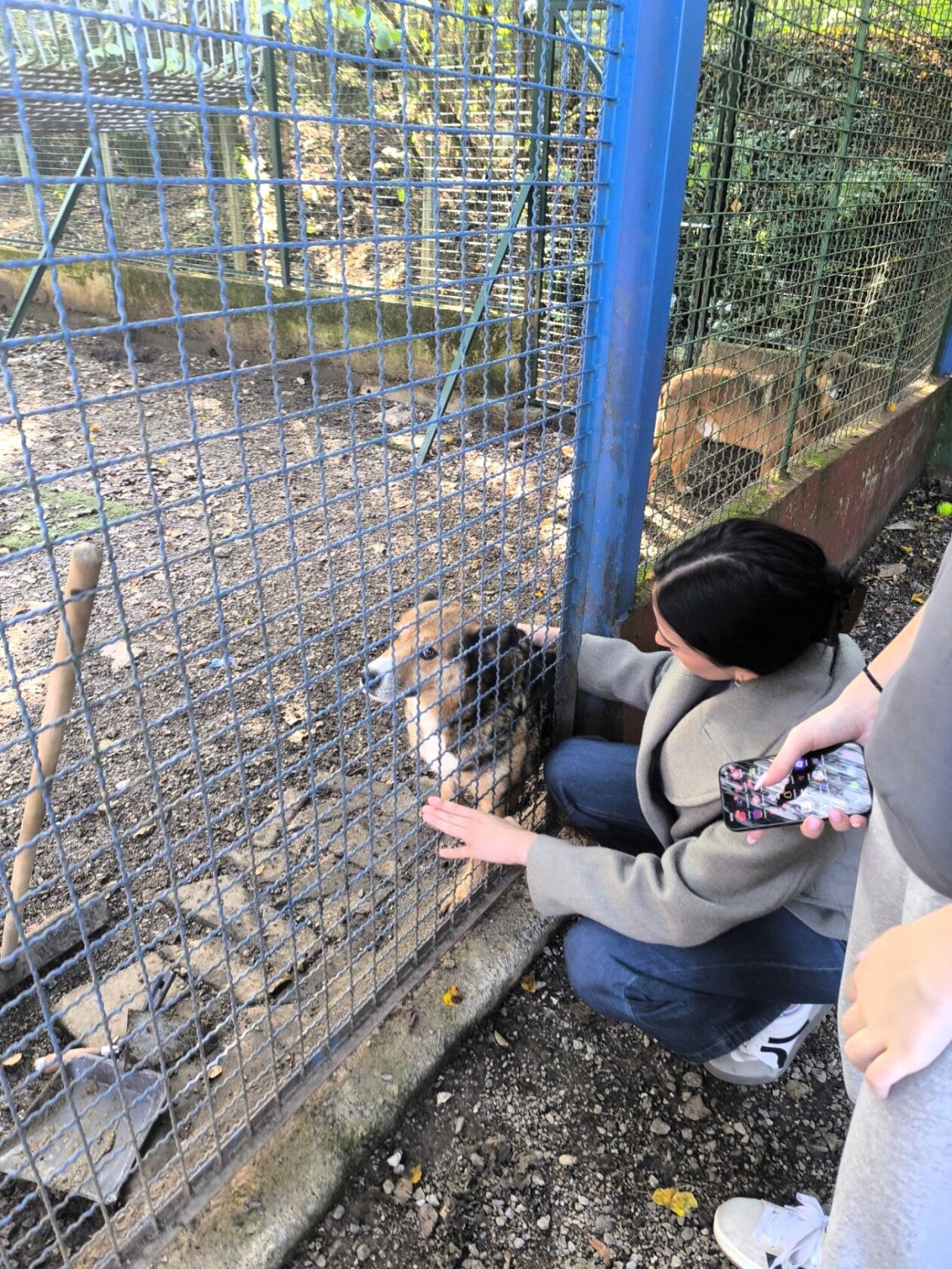 viber_slika_2025-09-26_10-55-38-269 viber_slika_2025-09-26_10-55-38-269