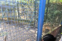 viber_slika_2025-09-26_10-55-38-269 viber_slika_2025-09-26_10-55-38-269