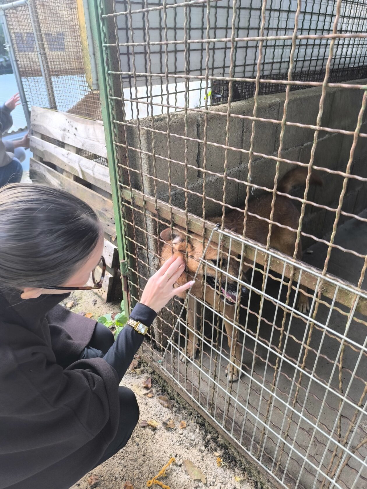 viber_slika_2025-09-26_10-55-38-568 viber_slika_2025-09-26_10-55-38-568