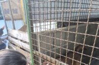 viber_slika_2025-09-26_10-55-38-568 viber_slika_2025-09-26_10-55-38-568