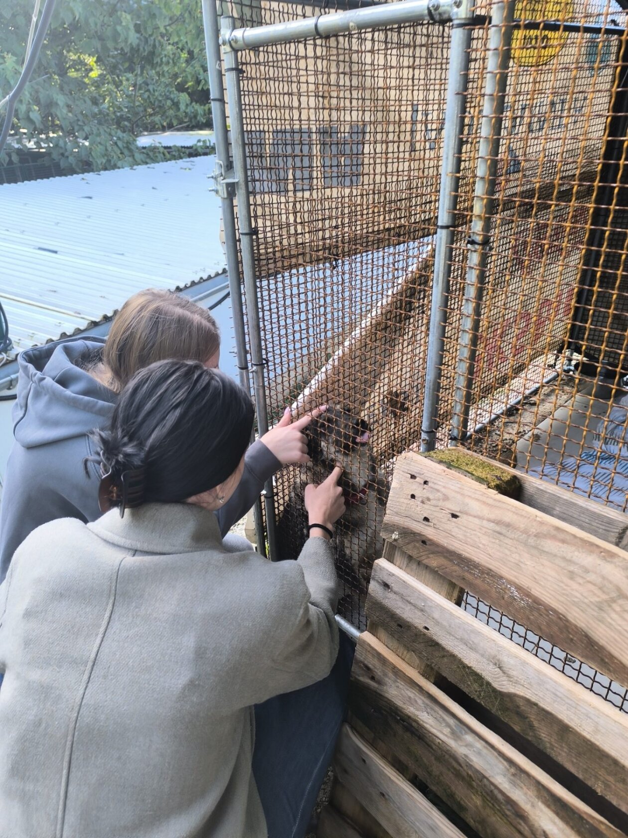 viber_slika_2025-09-26_10-55-39-276 viber_slika_2025-09-26_10-55-39-276