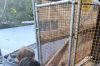 viber_slika_2025-09-26_10-55-39-276 viber_slika_2025-09-26_10-55-39-276