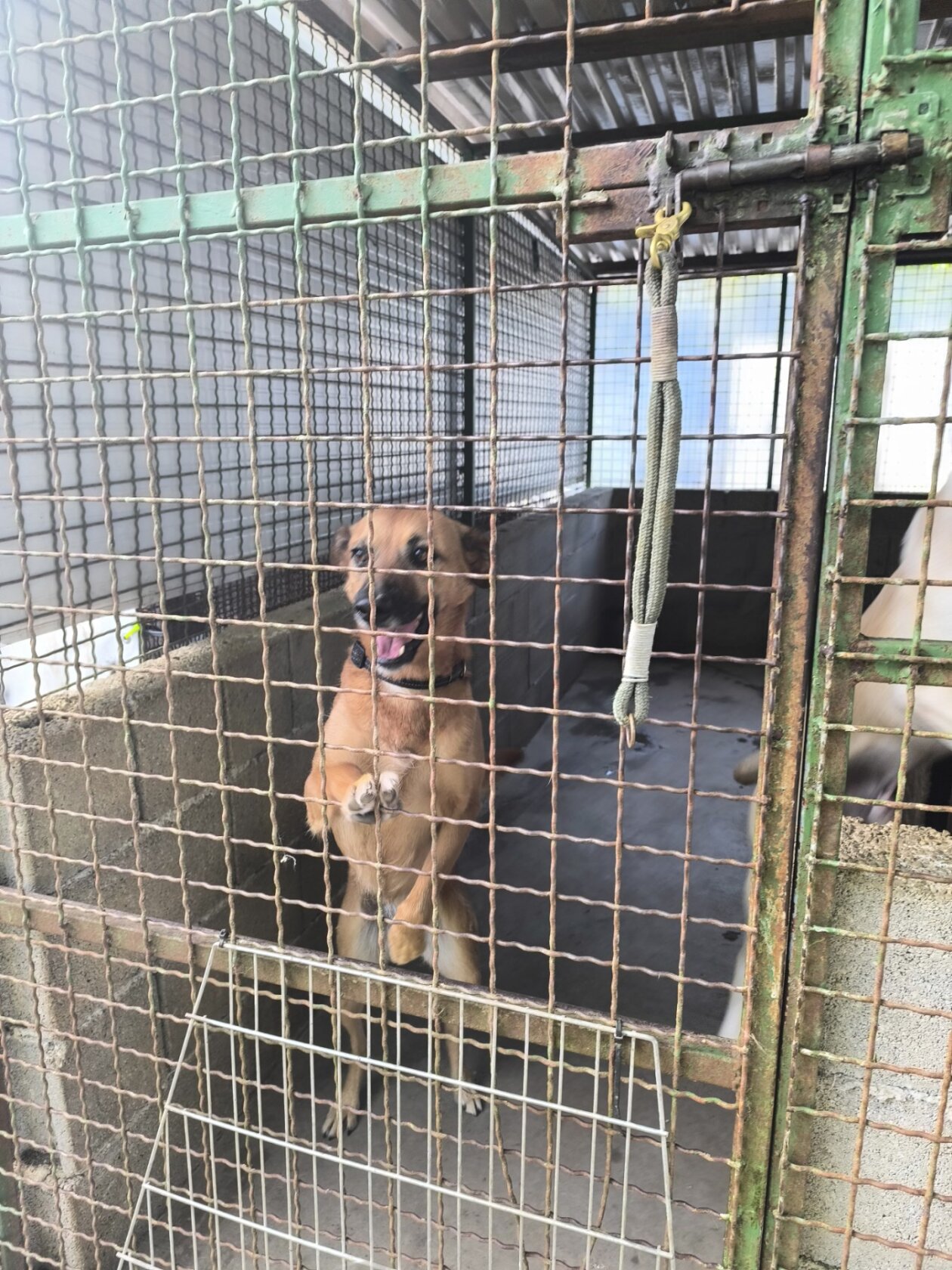 viber_slika_2025-09-26_10-55-40-792 viber_slika_2025-09-26_10-55-40-792