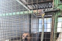 viber_slika_2025-09-26_10-55-40-792 viber_slika_2025-09-26_10-55-40-792