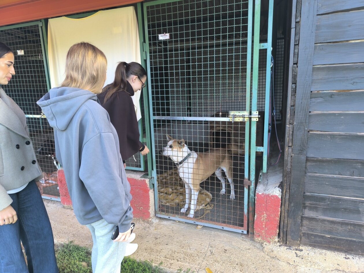 viber_slika_2025-09-26_10-55-40-824 viber_slika_2025-09-26_10-55-40-824