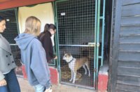 viber_slika_2025-09-26_10-55-40-824 viber_slika_2025-09-26_10-55-40-824