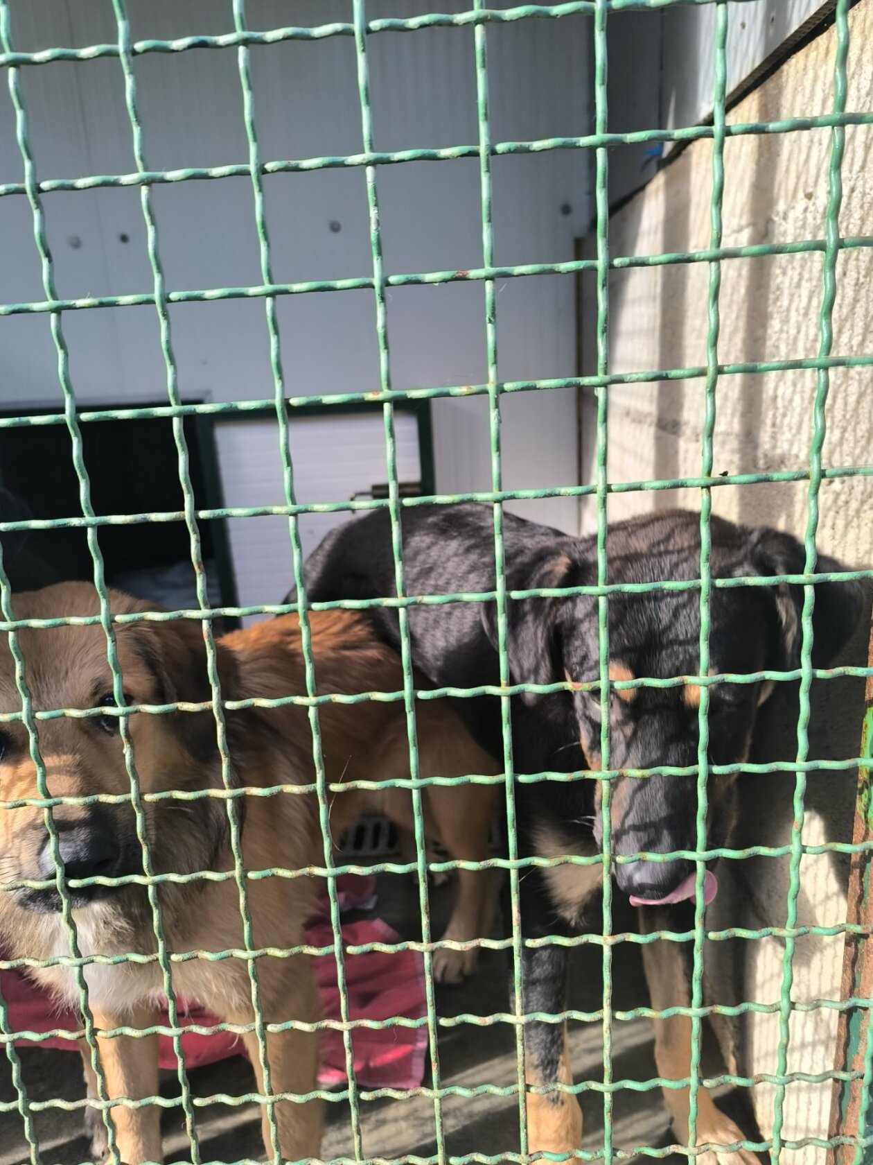 viber_slika_2025-09-26_10-55-40-926 viber_slika_2025-09-26_10-55-40-926