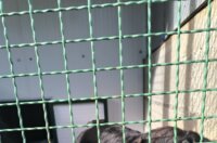 viber_slika_2025-09-26_10-55-40-926 viber_slika_2025-09-26_10-55-40-926