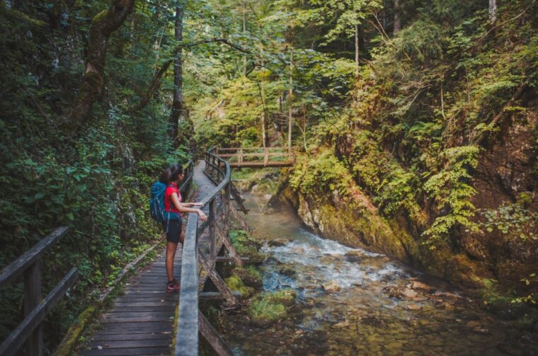 2.-KAMACNIK-Kamacnik-Vrbovsko-Mario-Jurina-24-1024×683