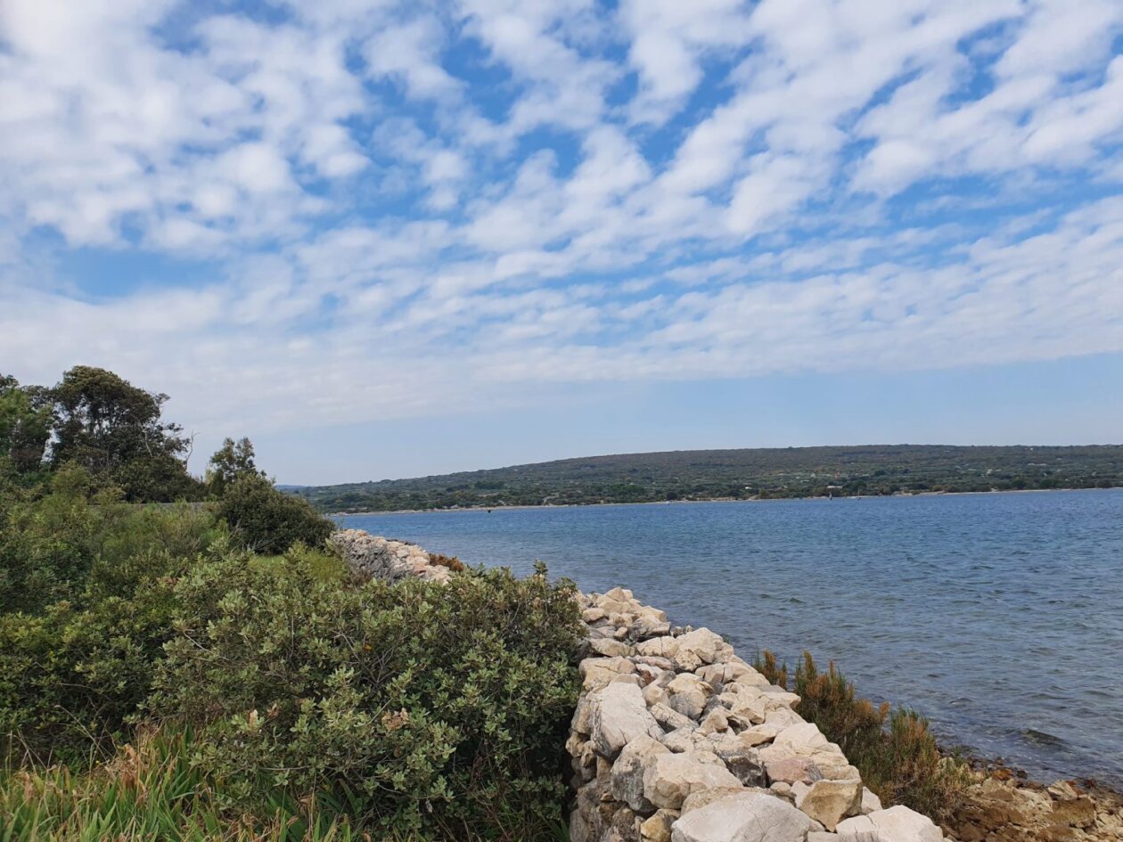 20251017_122204-1536×1152