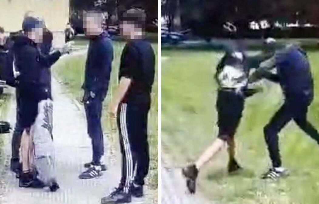 3d39dcdb-42e9-4982-85cc-3f17248d9e25