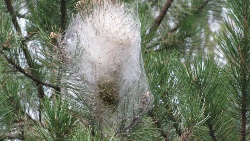 560960085_1359252739542876_754021232220635664_n