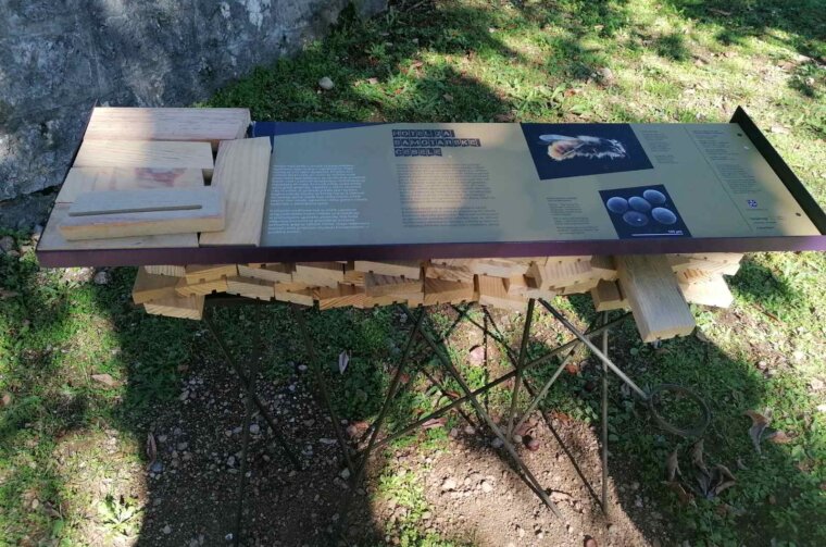 561344128_122107635009007351_7623455076271457861_n