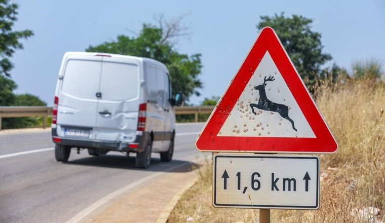 9a50397a-2f7a-4f74-892f-32be6ee1611f