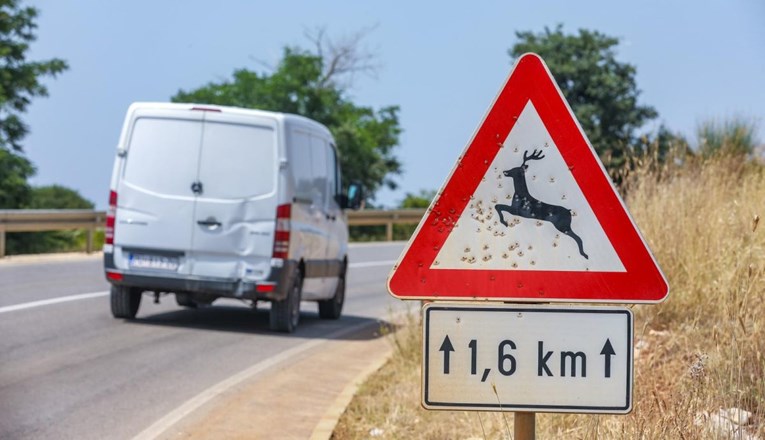 9a50397a-2f7a-4f74-892f-32be6ee1611f