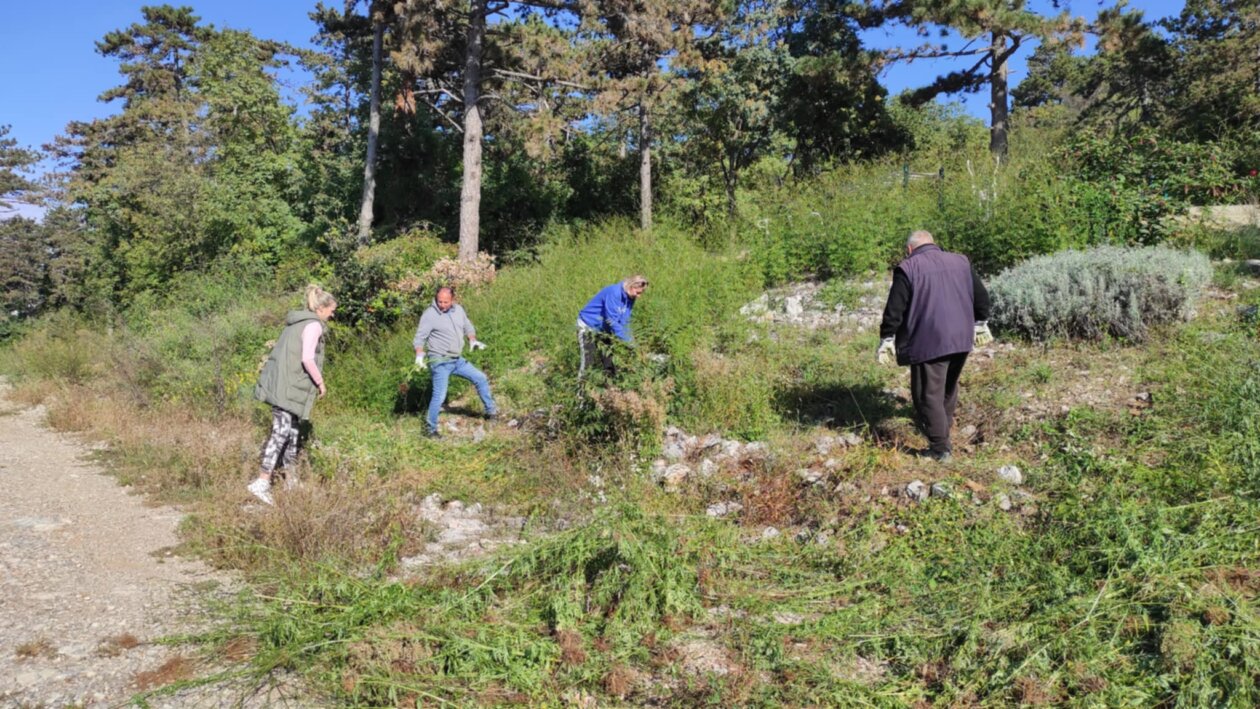 Ciscenje-korova-na-zelenoj-povrsini-uz-rekreativnu-zonu
