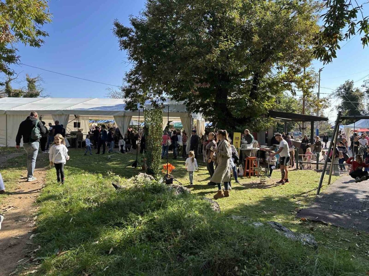 Dobreć 2025 marunada 133 Dobreć 2025 marunada 133