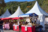 Dobreć 2025 marunada 14 Dobreć 2025 marunada 14