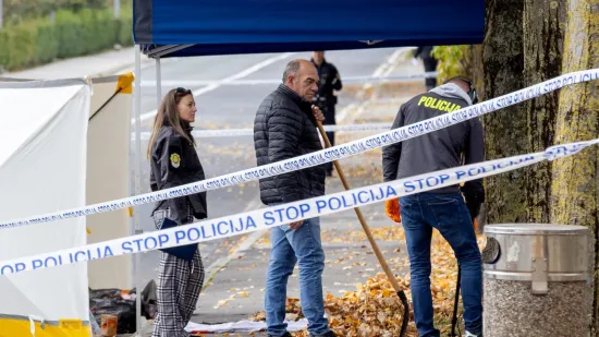 H-1125cc23-ad48-4360-8f85-30eaea55369f-550