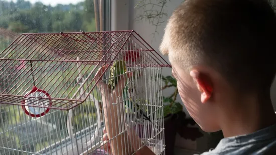 H-283e1f99-95ec-498b-96cc-e5f3b7916824-550 H-283e1f99-95ec-498b-96cc-e5f3b7916824-550