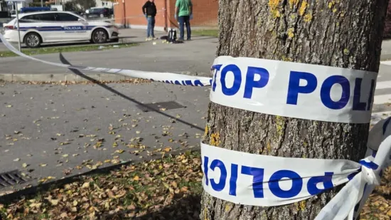 H-70a9a216-630c-4263-a797-8e974d32c826-550