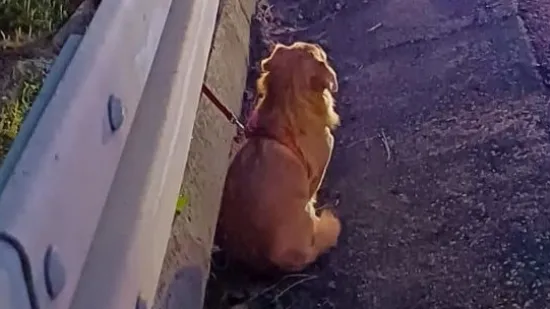 H-7269e3ba-9725-4cae-b554-8d147c2eb15a-550