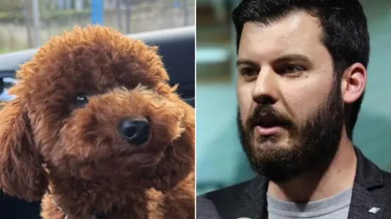 H-db064036-675d-48b1-8dc2-e09233492d5b-550 H-db064036-675d-48b1-8dc2-e09233492d5b-550