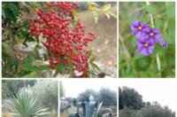 IMG_20251020_220438-1152×1536