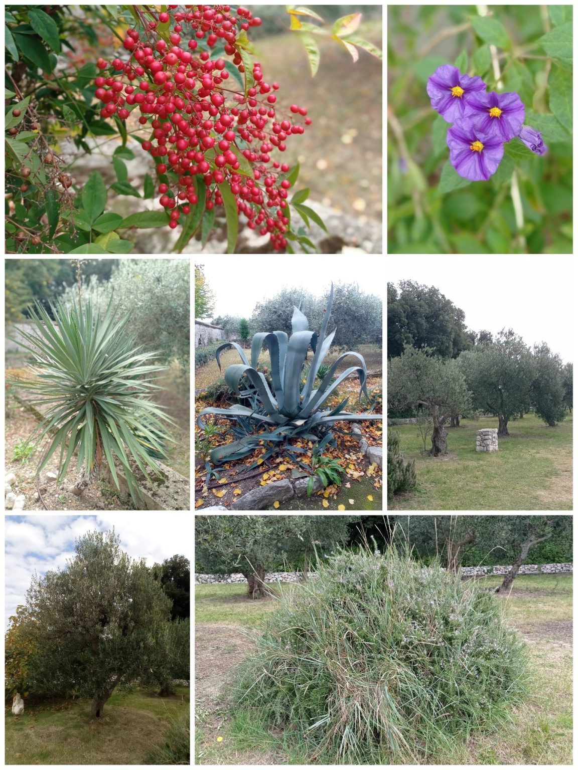 IMG_20251020_220438-1152×1536