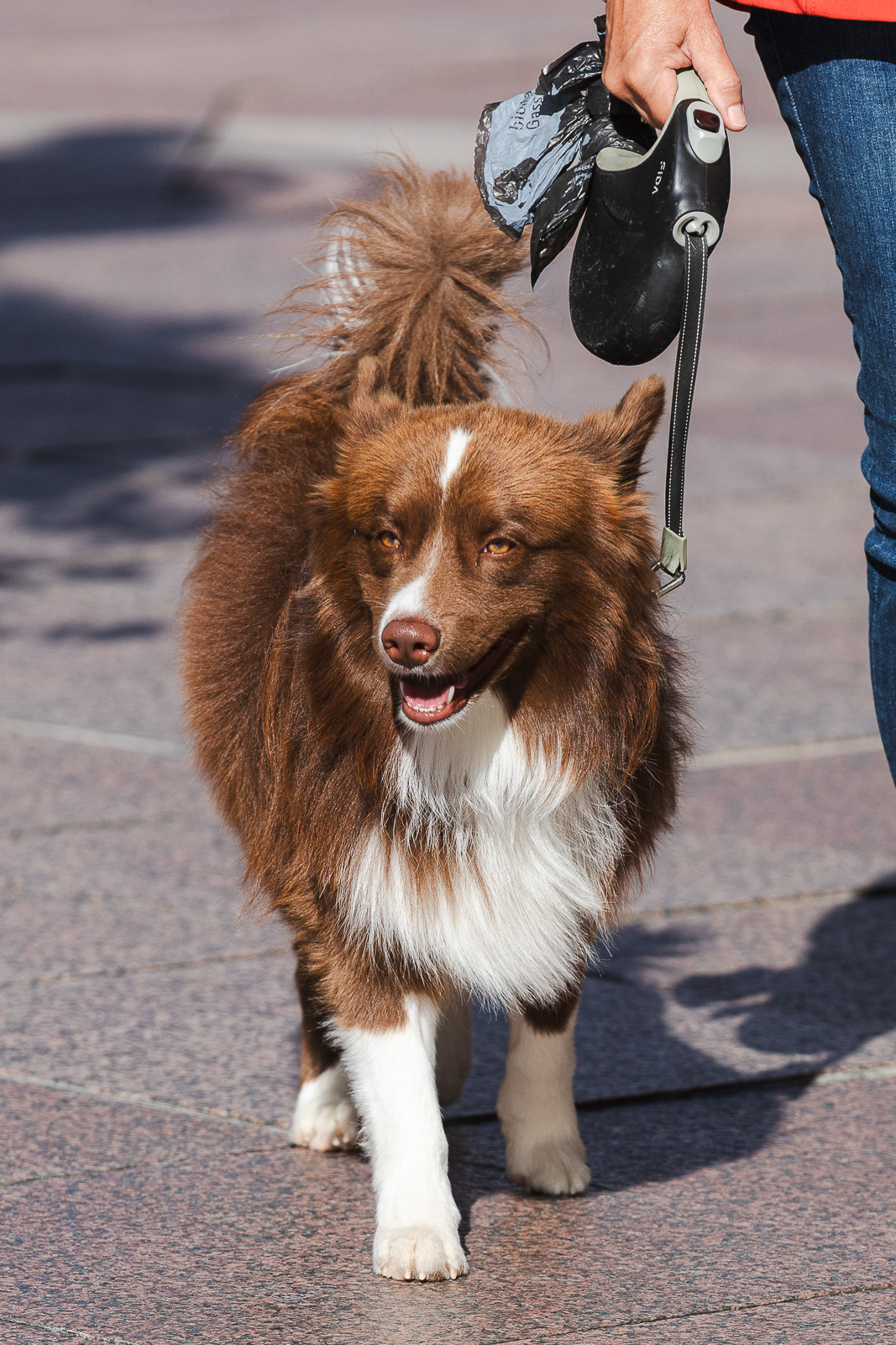 Klikom po Korzu 3.10.-3851