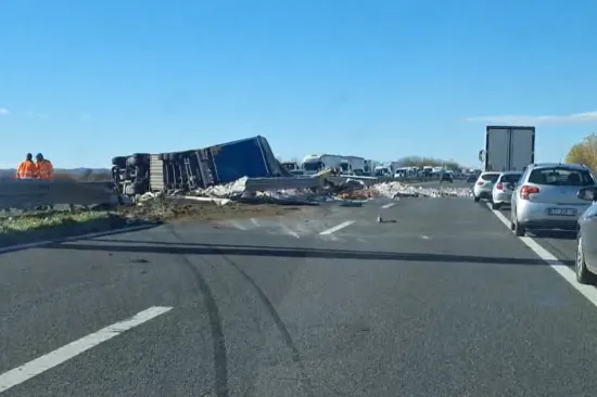 LS-0b9d978f-e5dd-48a7-adfe-54db3e779d56-550