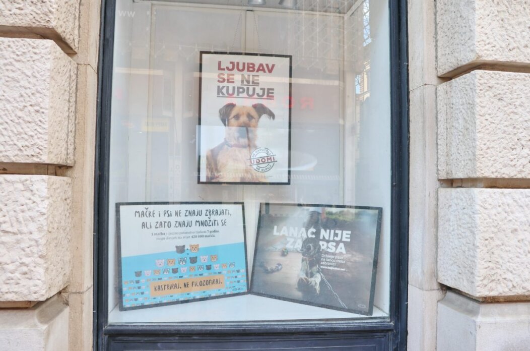 Medunarodni-dan-zastite-zivotinja-izlozi-Grada-Rijeke-1200×800