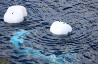 Izvlačenje auta iz mora kod Senja, u slijetanju poginulo četvero stranih državljana