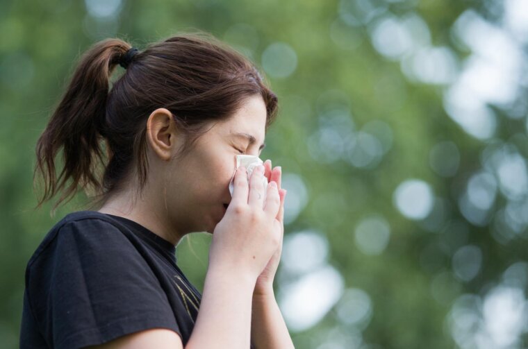 Alergija na ambroziju